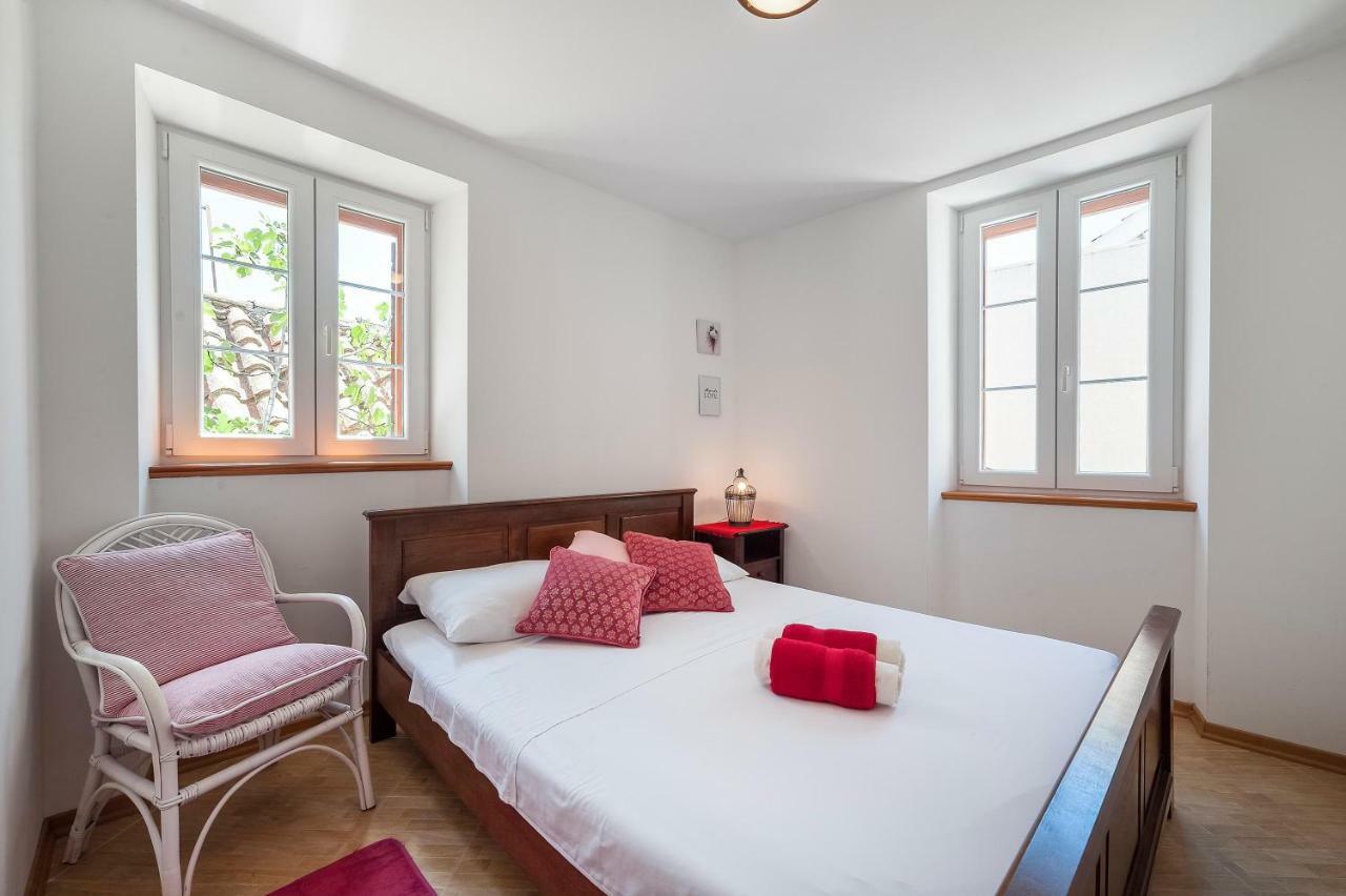 Apartament Aligator